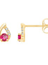 Rubis & Diamants 0,01ct X