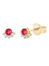 Rubis & Diamants 0,05ct VII