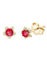 Serti Clos Rubis & Diamants 0,02ct