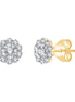 Diamant 0,22ct II