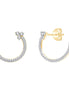 Diamant 0,22ct IV
